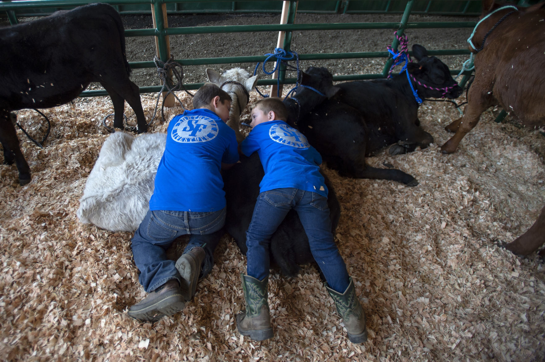 Coos County Fair